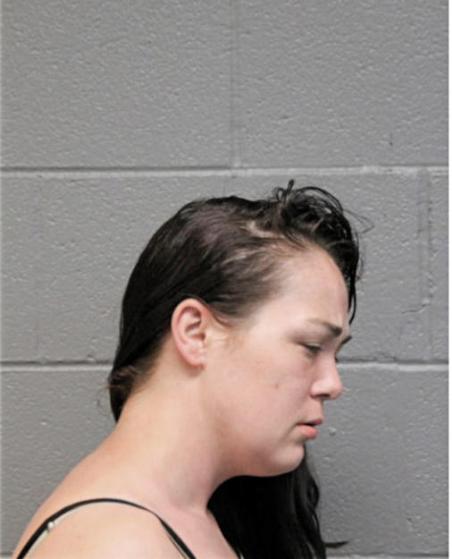 SARAH E LYON, Cook County, Illinois