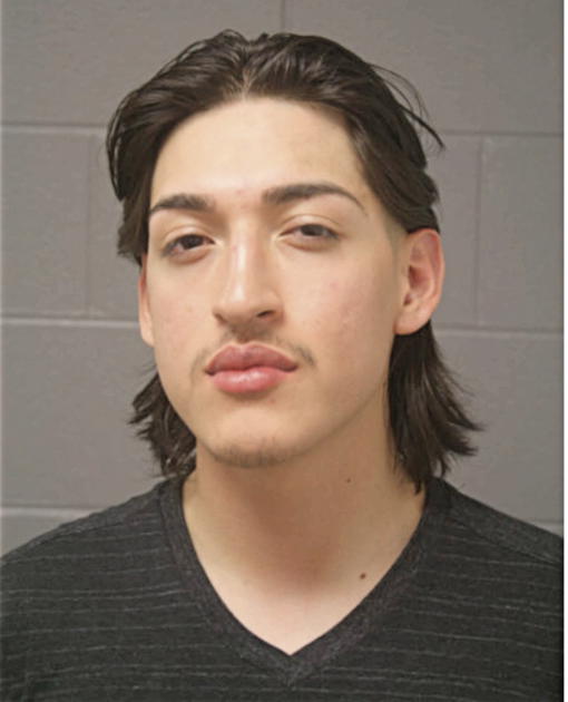 ABEL A MARTINEZ, Cook County, Illinois