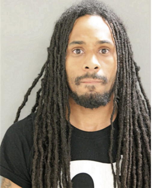 BRANDON J NOEL, Cook County, Illinois