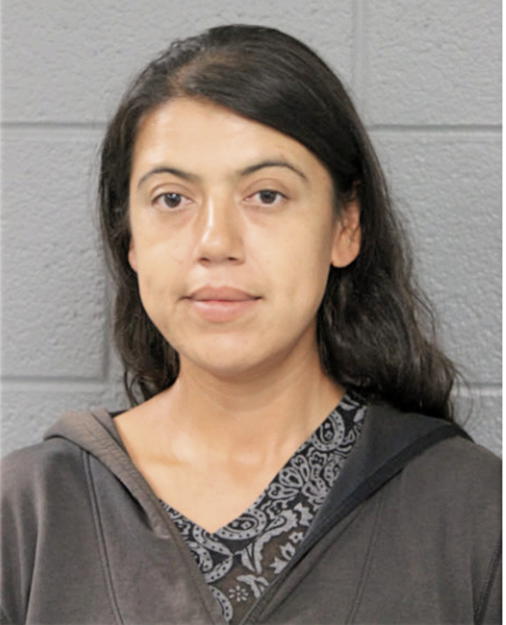 ROSA A ORTIZ, Cook County, Illinois