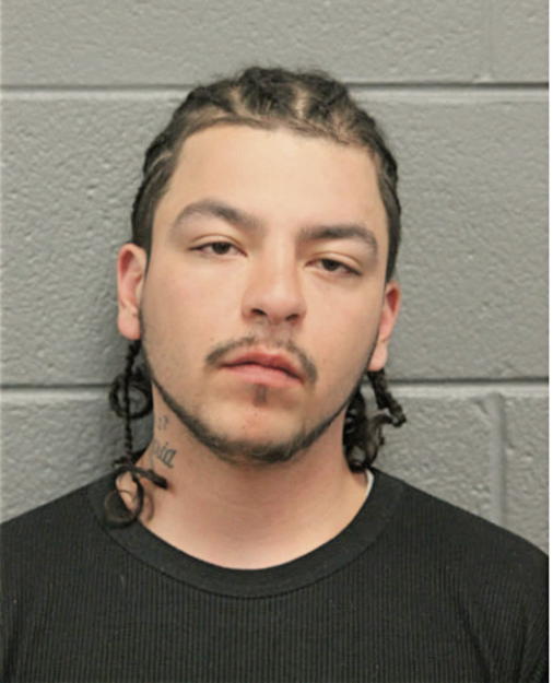 MICHAEL A PADILLA, Cook County, Illinois