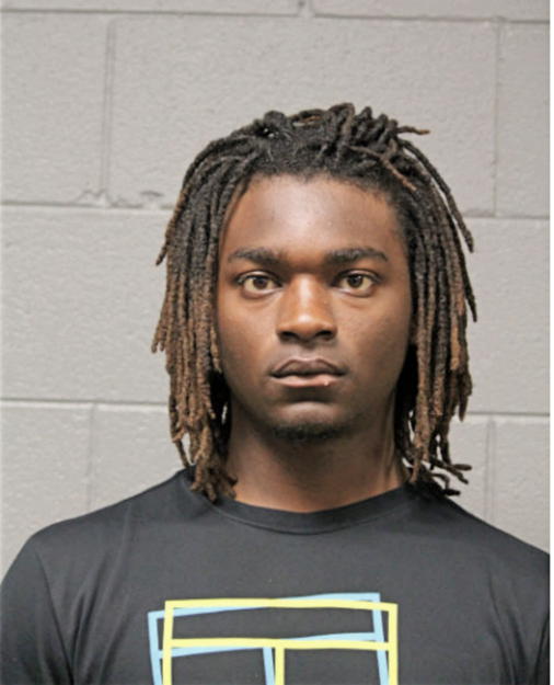 DARRYL L PAGE, Cook County, Illinois