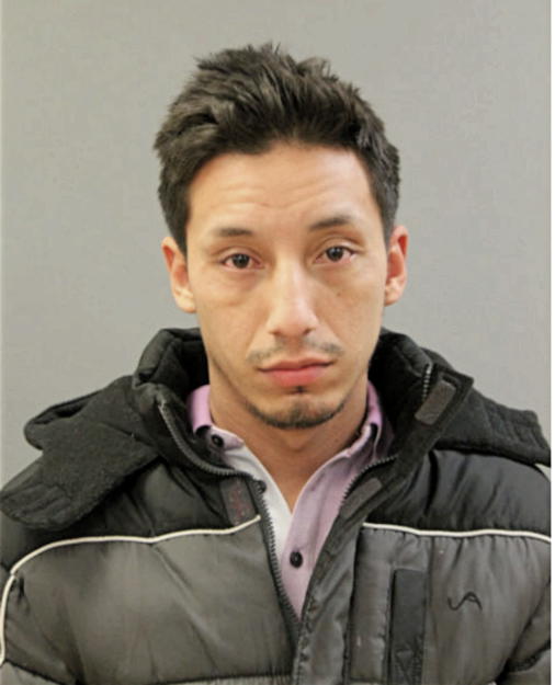 ENRIQUE SANCHEZ-GARCIA, Cook County, Illinois