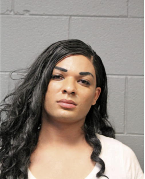 RICHARD D SELLERS, Cook County, Illinois