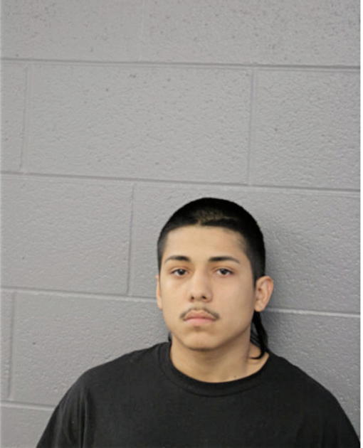 DAVID TORRES, Cook County, Illinois