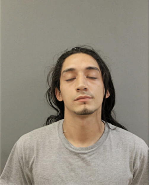 ANGEL L ALVAREZ, Cook County, Illinois