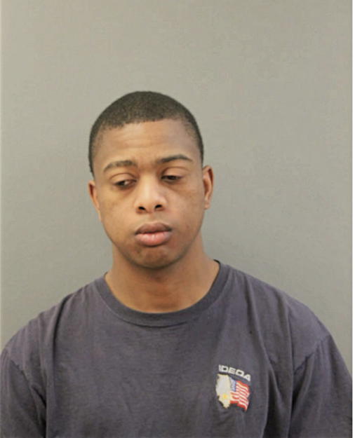 TERRY P BELL, Cook County, Illinois