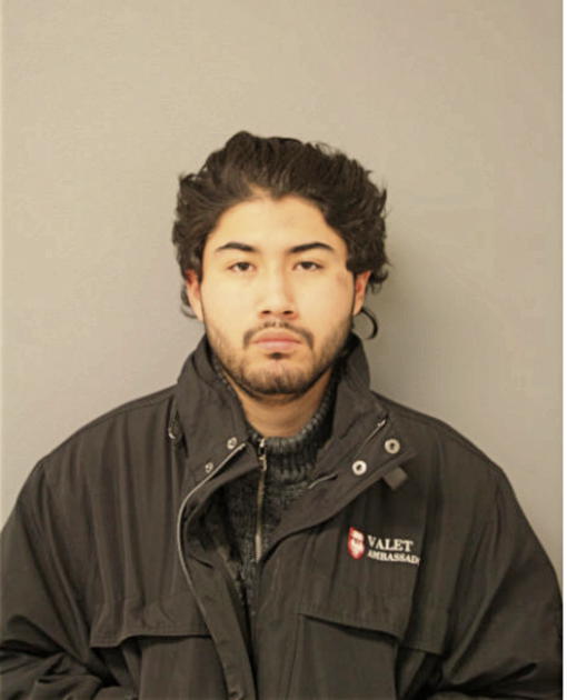 JESHUA J CALVO, Cook County, Illinois