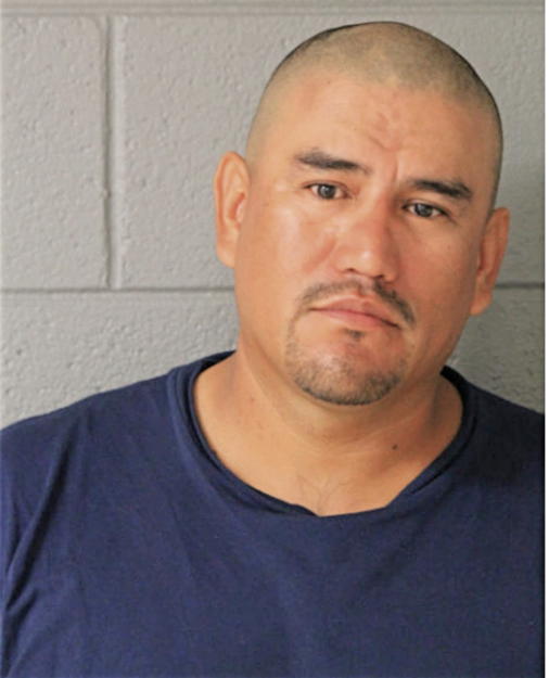 LUIS M CARBAJAL, Cook County, Illinois