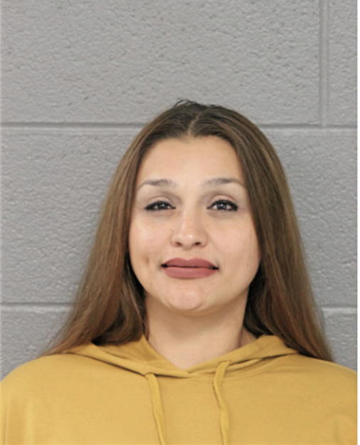 ANA B CASTRO, Cook County, Illinois
