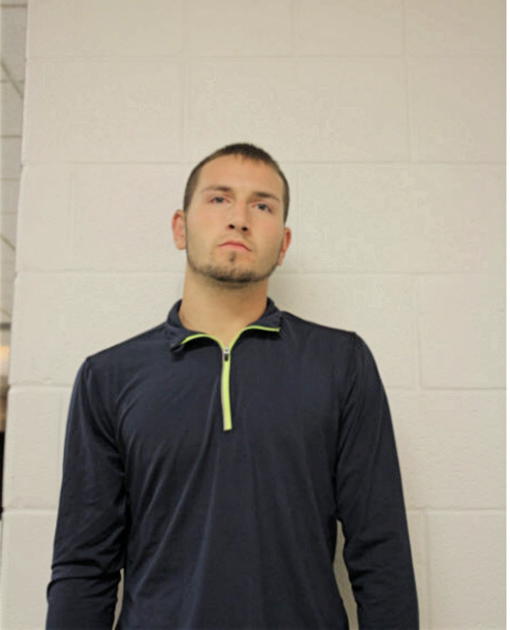 MICHAEL A DALSANTO, Cook County, Illinois