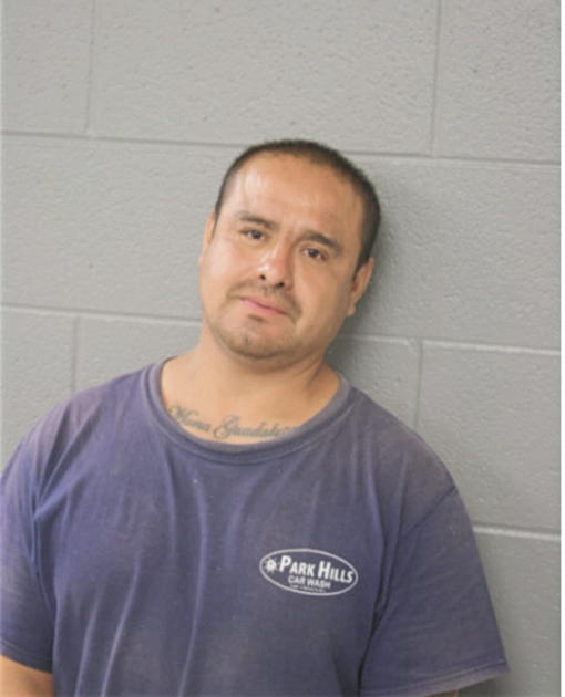 GABRIEL DELALUZ, Cook County, Illinois