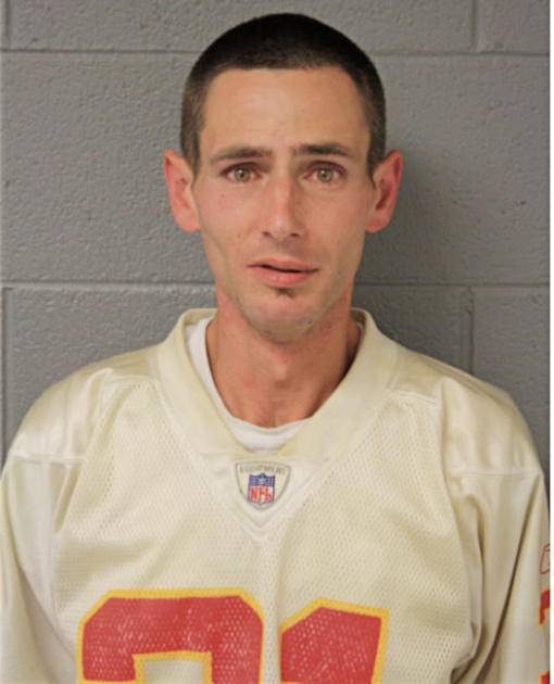 MICHAEL J DIMASO, Cook County, Illinois