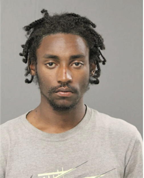 DARNELL N DORSEY-COLLIER, Cook County, Illinois