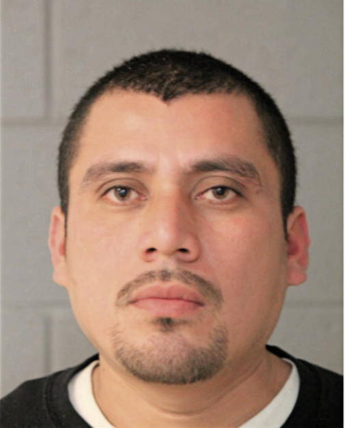 DAVID FLORES, Cook County, Illinois