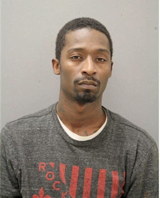 JAMES E FORD, Cook County, Illinois