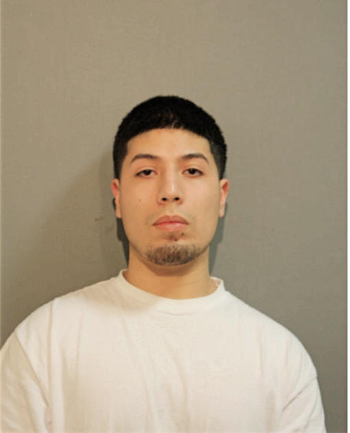 ALEJANDRO FRAUSTO, Cook County, Illinois