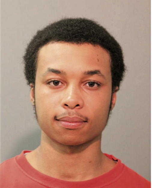 PAUL D GOODLOE, Cook County, Illinois