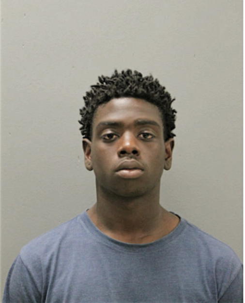 TONY D HULL, Cook County, Illinois