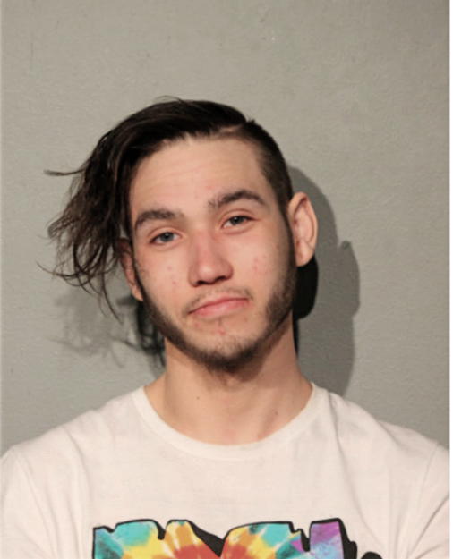DANIEL J BOL, Cook County, Illinois