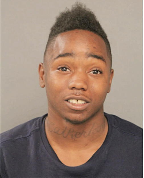 DONTRELL L LOGAN, Cook County, Illinois