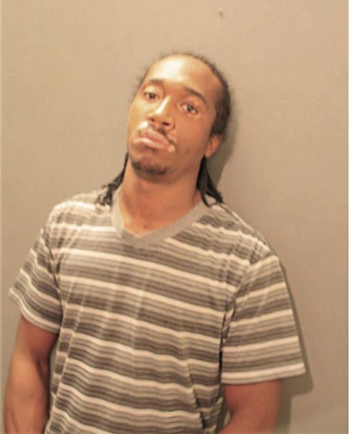 LARRY C LOMAN, Cook County, Illinois