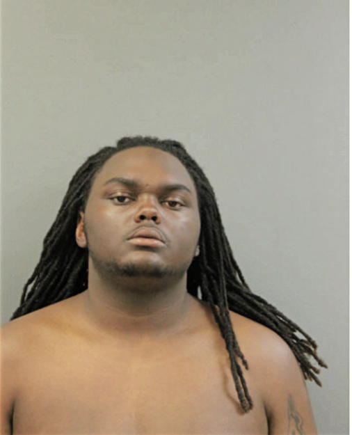 THOMAS G MAYFIELD, Cook County, Illinois