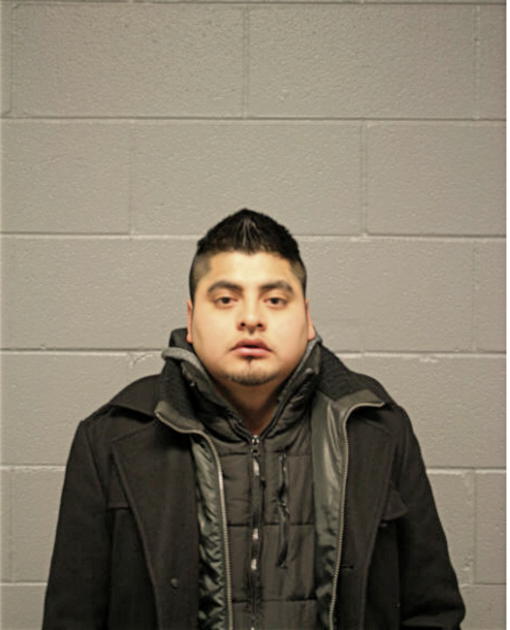 JUAN CARLOS RUIZ, Cook County, Illinois