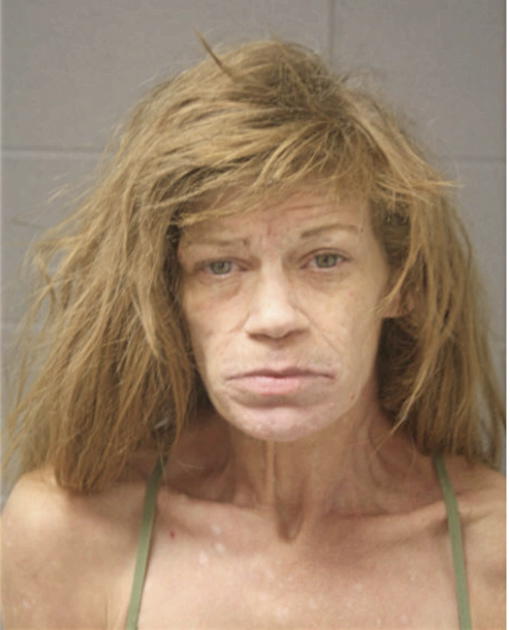STEPHANIE R WILLIAMS, Cook County, Illinois