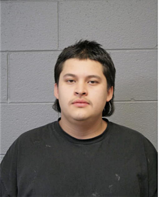 WUILIBALDO ZARAGOZA, Cook County, Illinois