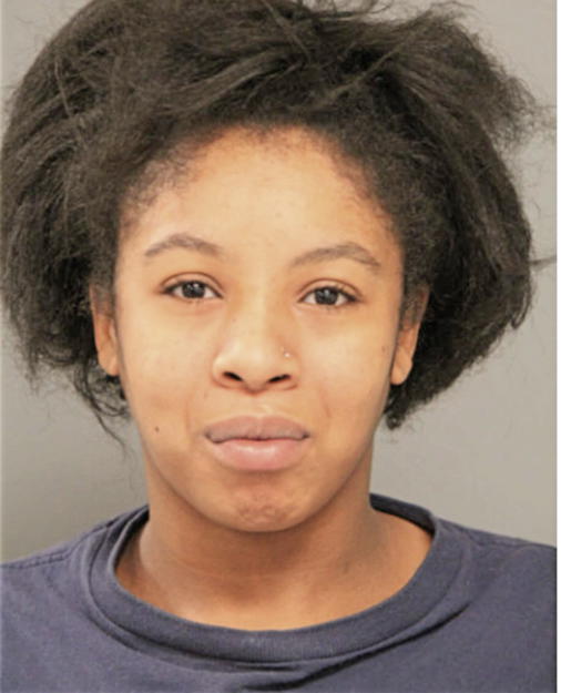 IZEHINOMEN O AGBOGUN, Cook County, Illinois