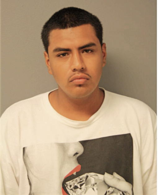 LUIS ANTONIO, Cook County, Illinois