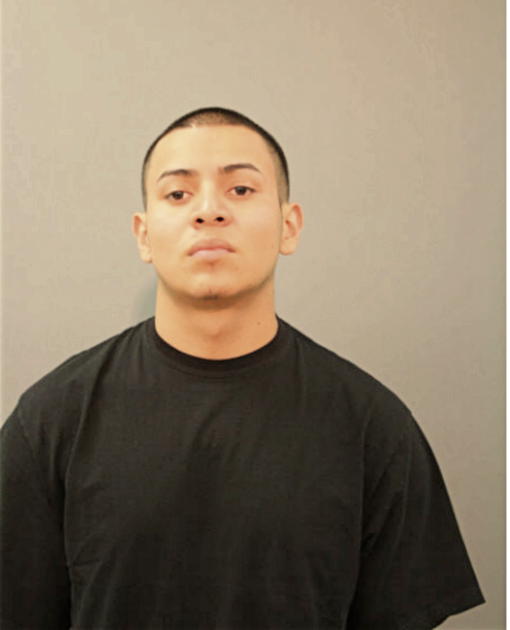 FRANCISCO J CASTRO, Cook County, Illinois
