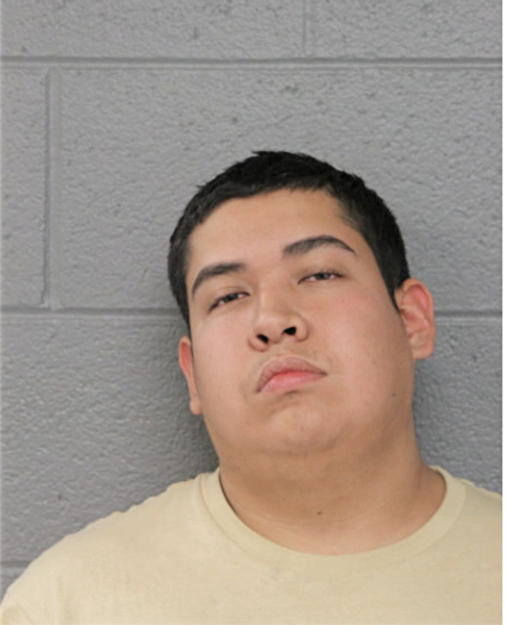 CRISTIAN CELIS, Cook County, Illinois