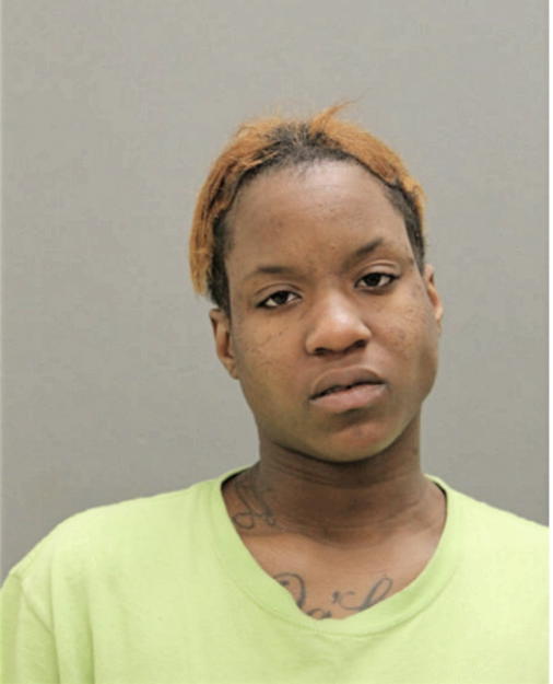 NIKETA J CHANDLER, Cook County, Illinois