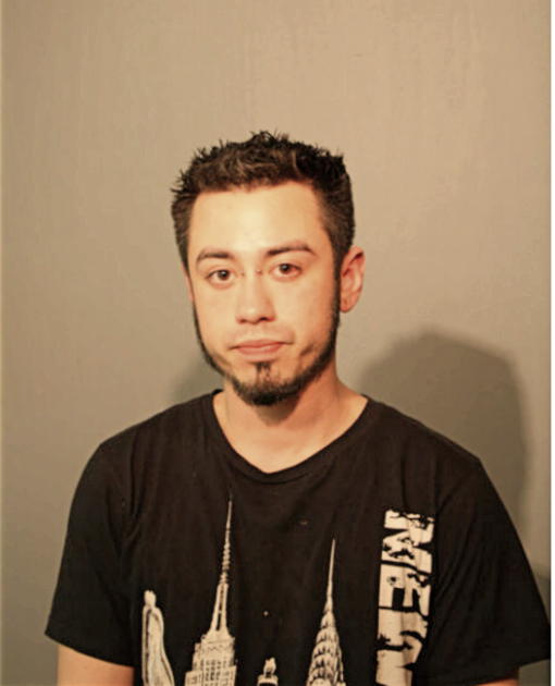 ROBERT A DITARANTO, Cook County, Illinois