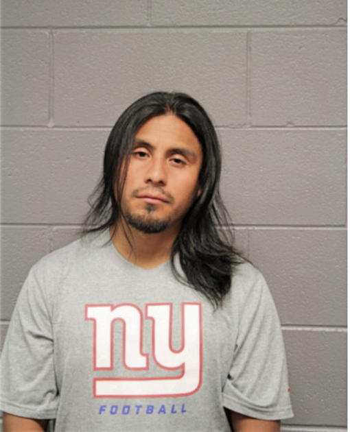 VICTOR H GARCIA, Cook County, Illinois