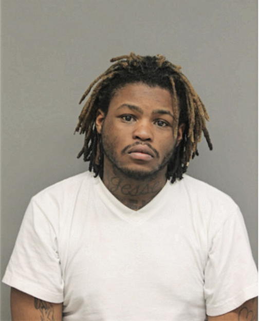 JESSE L HARRISON, Cook County, Illinois