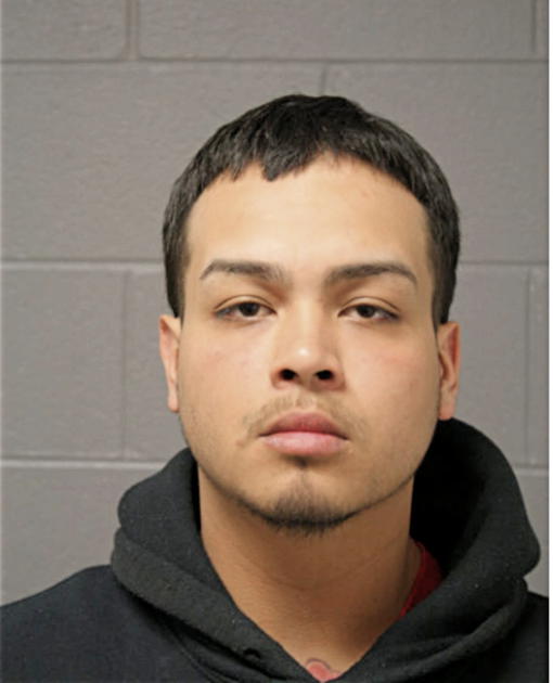 ALFREDO J HERRERA, Cook County, Illinois