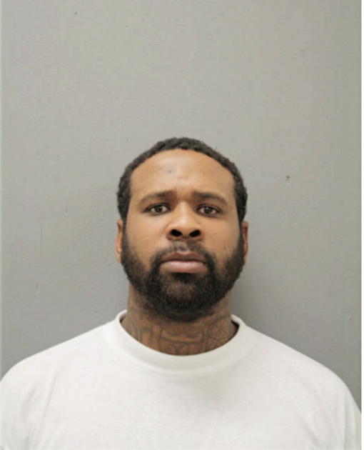 RANDALL T LEWIS, Cook County, Illinois