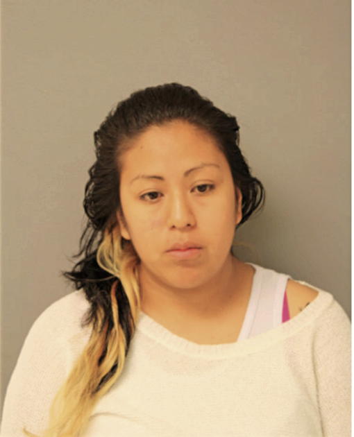 BRENDA MEJIA, Cook County, Illinois