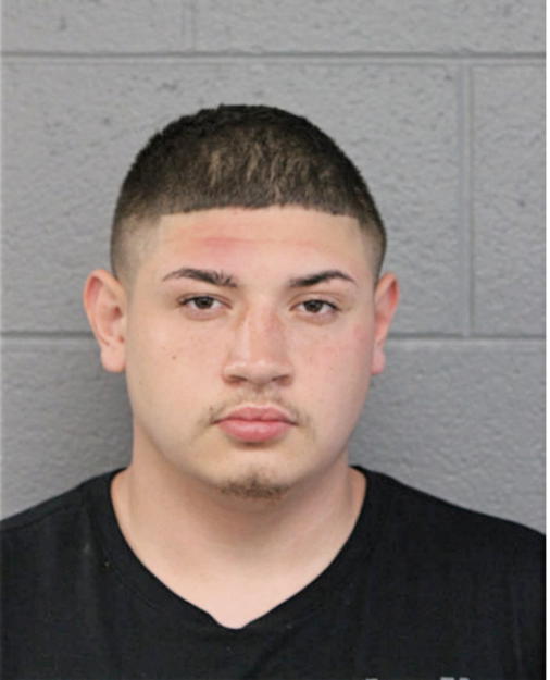 DAMIEN M MOHICA, Cook County, Illinois