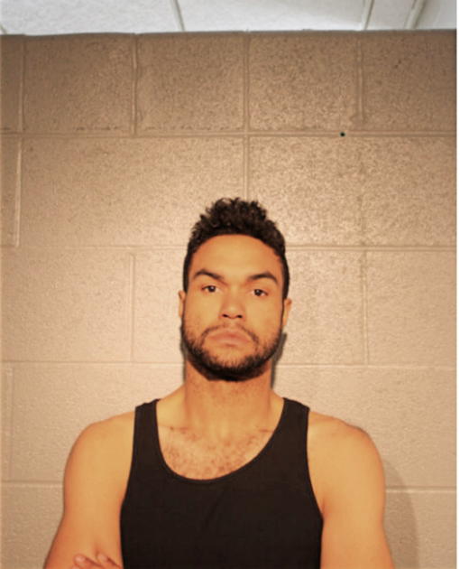 STEVEN C MOSS, Cook County, Illinois