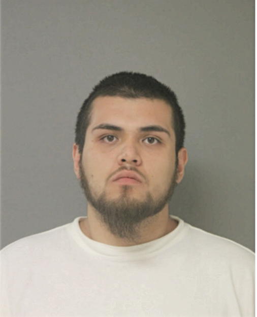 WILLIAM J PINEDA, Cook County, Illinois