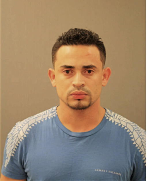 JOSE D PORTILLO, Cook County, Illinois