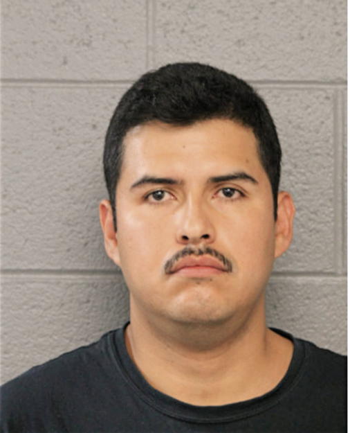 LUIS A RASCON, Cook County, Illinois