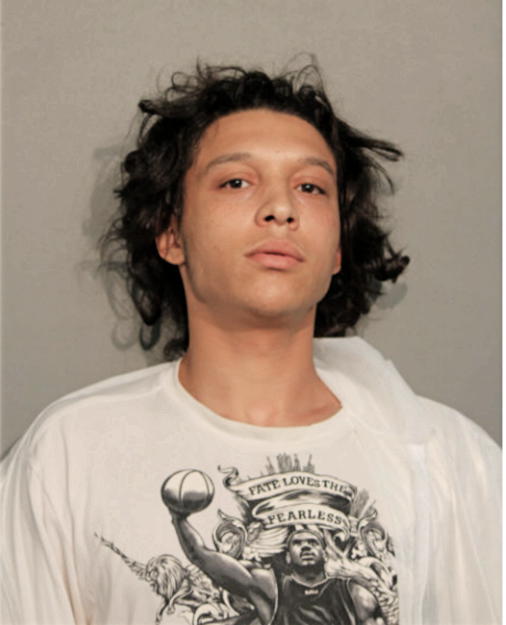 ZACHARY V RICHARDSON, Cook County, Illinois