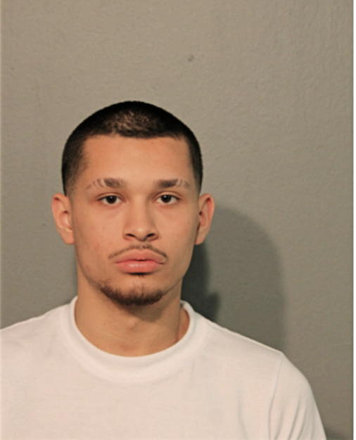 CARLOS D ROLDAN, Cook County, Illinois