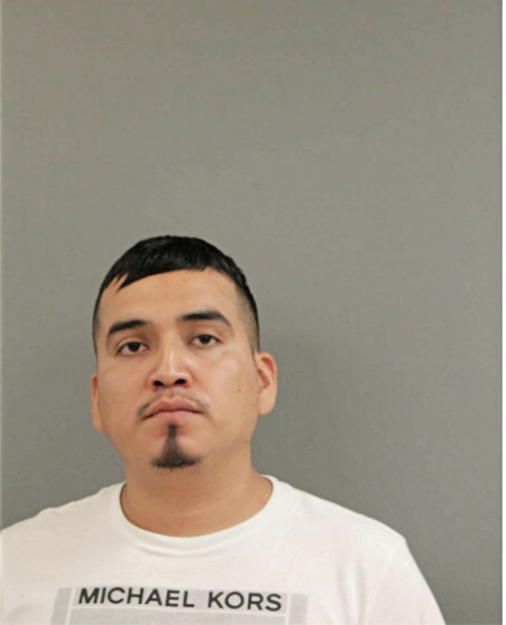 IRVING SOSA, Cook County, Illinois