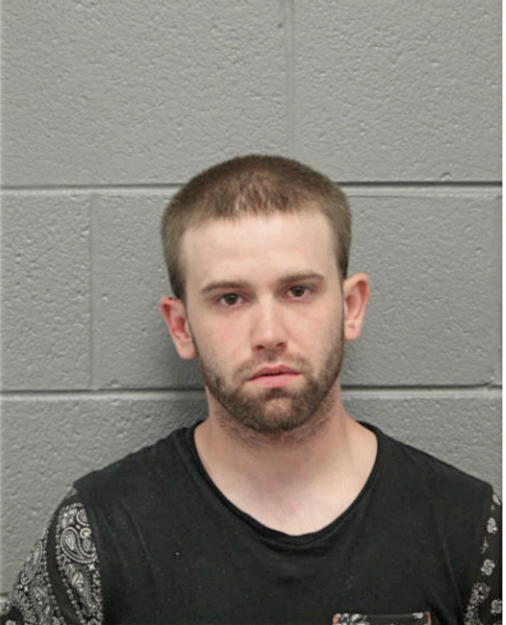 TERRY L STEAGALL, Cook County, Illinois